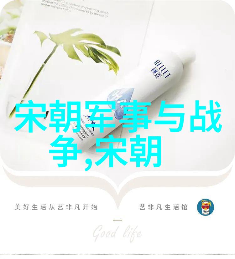 明朝风华录历代盛事与隐秘