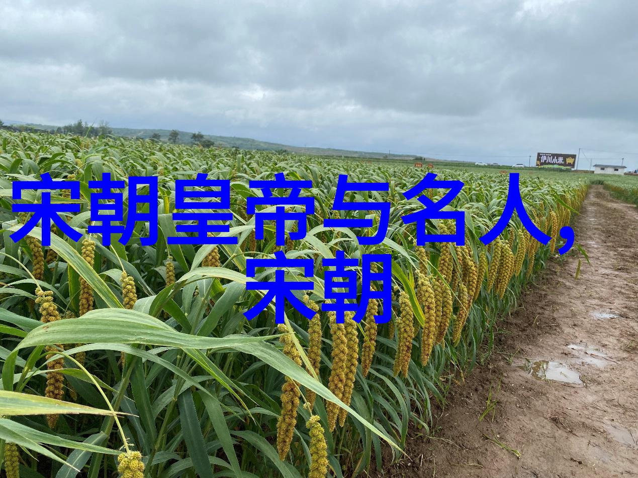歃血大隋我亲历的那些隋朝的血与火