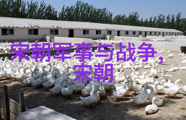 宋朝相关历史内容我亲眼见证的宋代繁荣从靖康之变到南宋抗金
