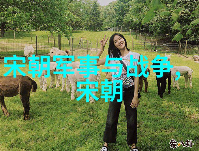 明朝十大著名战争朱元璋北伐靖难之役土木堡之变攻打安南抗击蒙古联军