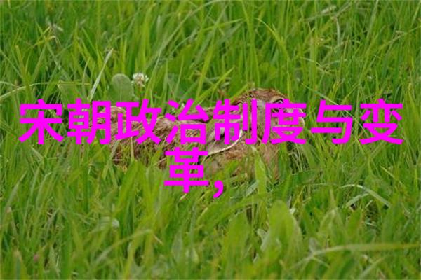 元朝谁能分清1206还是1271