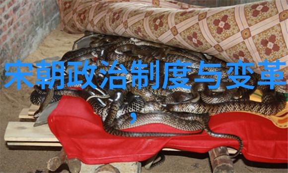十夜灯休夫揭秘古老传说中的光与影