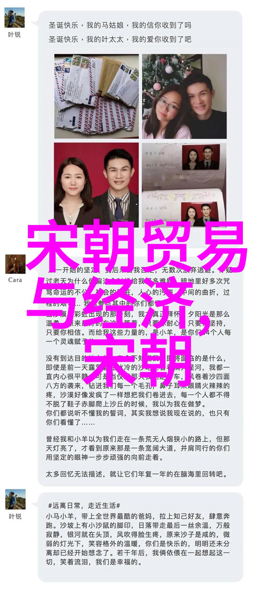 宋朝第一美女是谁-玉容碧影揭秘宋代最美人的传说