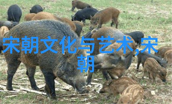 朝代逆袭从帝王到民众的历史口诀变奏