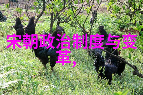 元朝的灭亡的原因我看来这些因素才是真正让大汗王朝土崩瓦解的