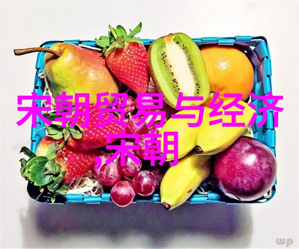宋朝一览从北宋到南宋的兴衰与文化辉煌