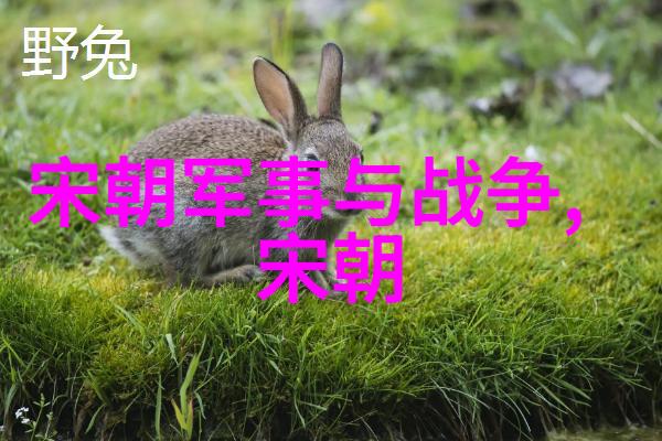 刘若英2023我是歌手播出时间自然归来