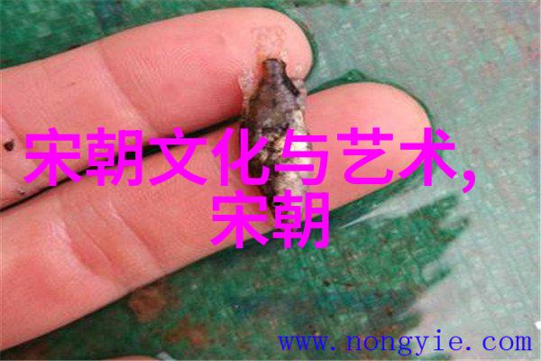 元朝时期的百姓福祉探究