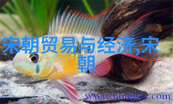 古代帝国的遗忘领土揭秘中国历史朝代面积的神秘变迁