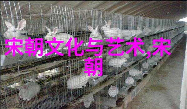 1590年明朝是哪个我来告诉你走进那古老的岁月揭秘1590年的明朝