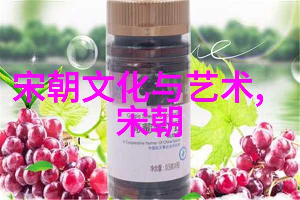 中国历史英雄人物故事秦宣公与明朝的对比光芒同一时空中闪耀着不同时代的光辉公元前664年的秦宣公与明朝