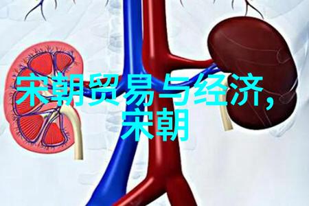 闪耀的光环名人的传奇与背后