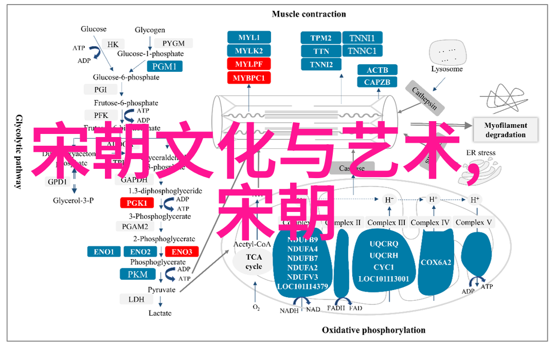 明朝雄霸天下历代帝王与英杰的辉煌成就