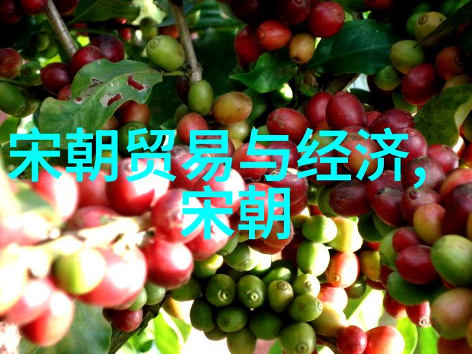 明朝的耻辱土木堡盛世之巅与衰败之痛