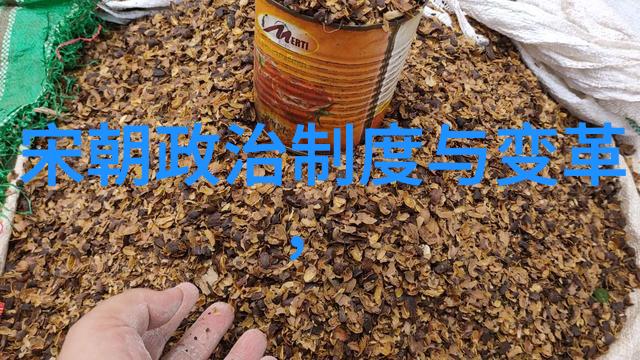 光绪十年囚禁帝影深沉的幽宫生活