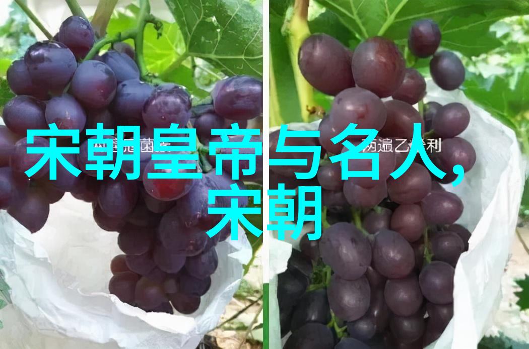 明朝最牛朱元璋的崛起与霸业
