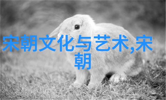 秦良玉锦衣卫中的孤独使者