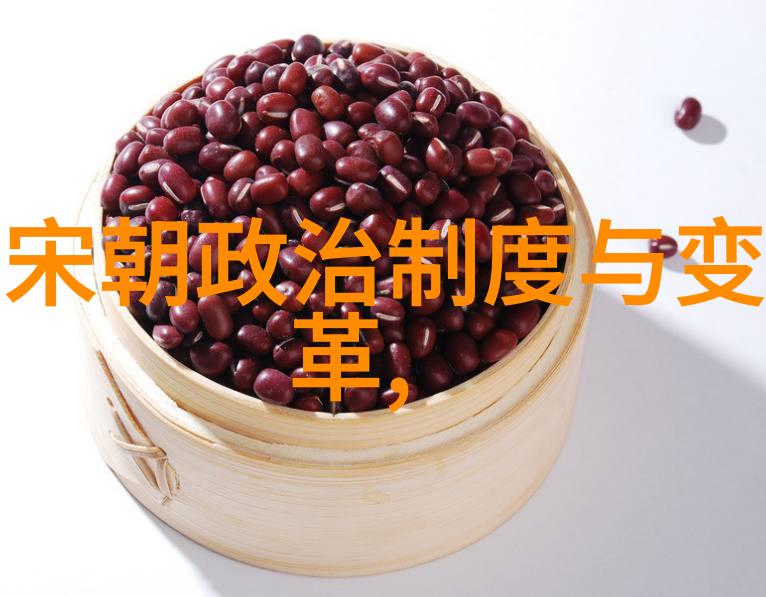 绘制历史朝代的时间轴一幅画布上的千年变迁