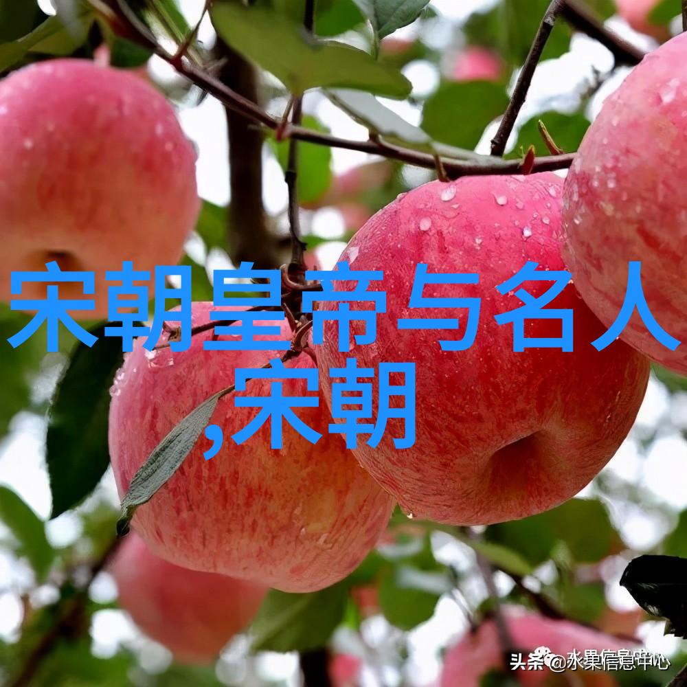 宋朝历史成就 - 华夏文明的鼎盛时期与科技创新辉煌