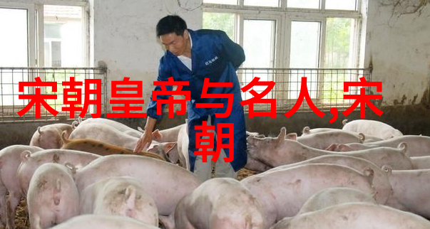 南明朝监国有谁-南明最后的守望监国王室的悲剧与荣耀