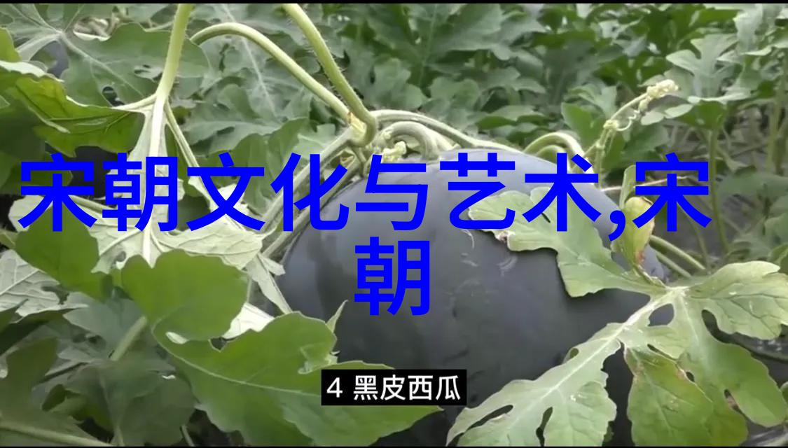 道光至咸丰年间的大规模灾荒及后果分析一场自然与人祸交织的大考验