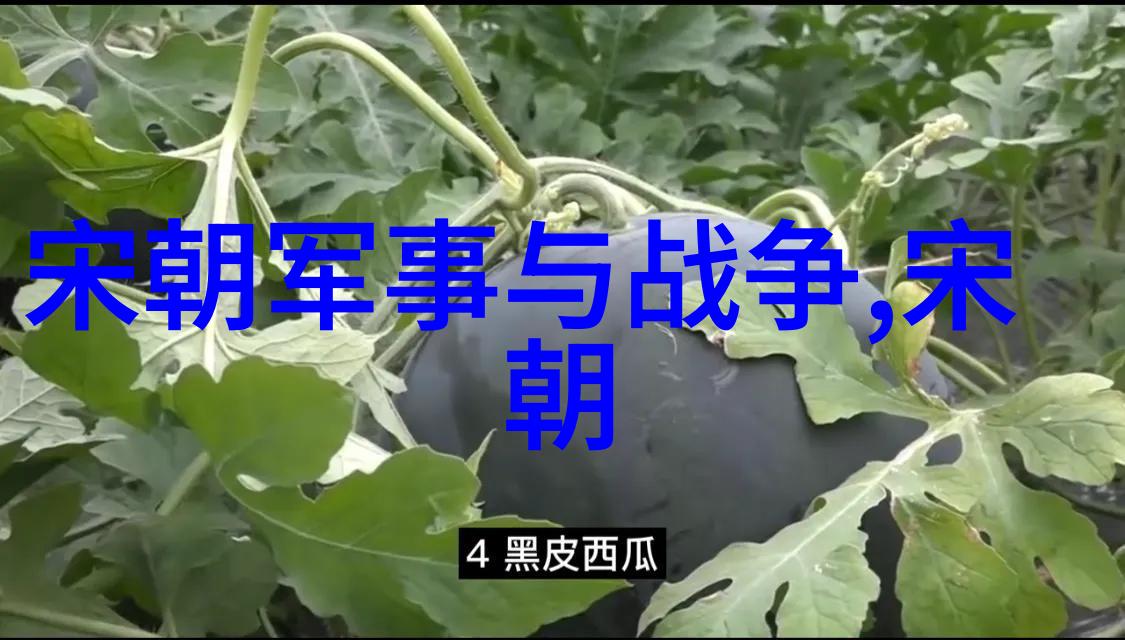 历史纵览-穿梭时空历届朝代统治时间的长短探究