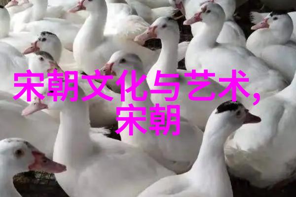 明朝那些事读后感大学我在历史的长河中找到了青春的回音