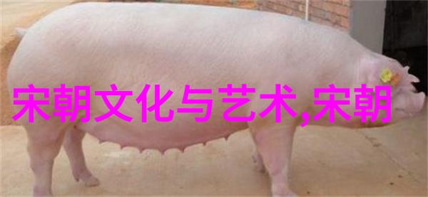 一枚硬币诀别词无删减我轻轻扔下那枚硬币仿佛在说着不离不弃的告别
