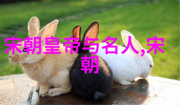 元朝治世之策以和谐共存为基石的文明历程