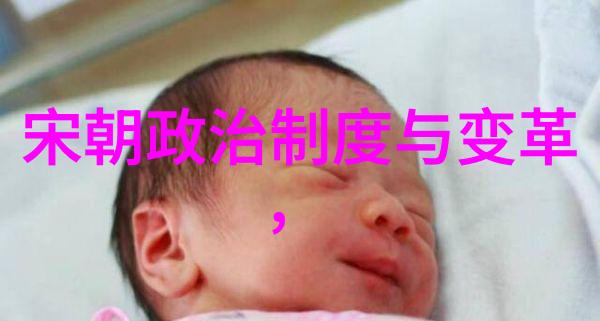 宋代历史事件北宋灭亡与南宋存续的悲欢离合