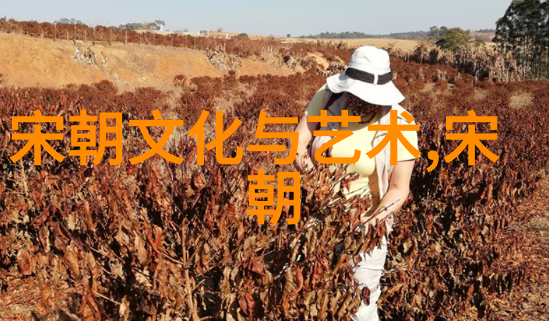 元代奇观风华正茂的草原帝国