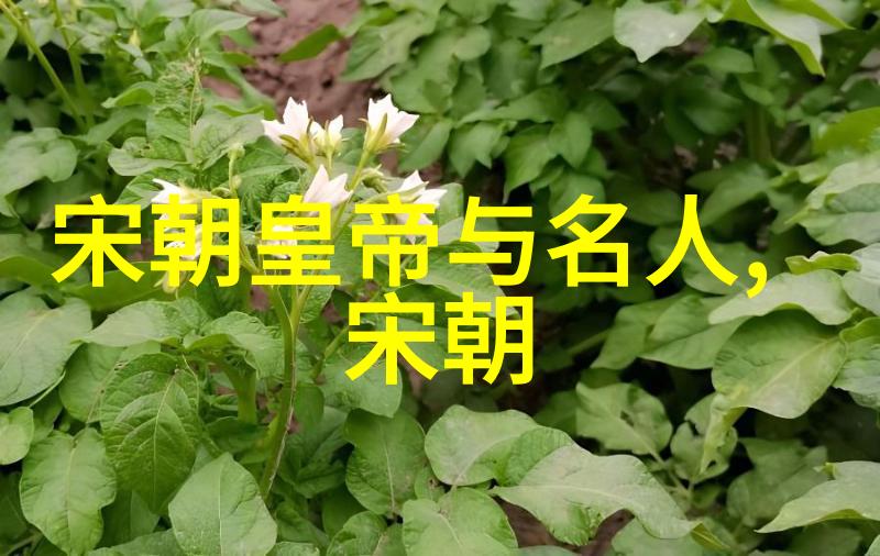 忽必烈的传奇一生他真的能实现对海洋的征服梦想吗