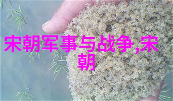 中国新疆大学生新疆学生的学术旅程