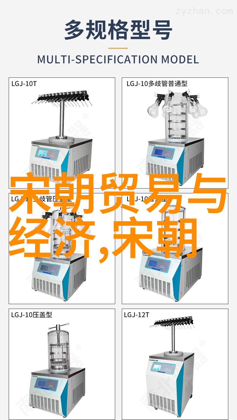 南宋覆灭之谜元朝征服的历史与文化因素探究