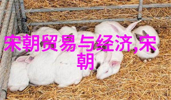 一言以蔽之唐朝的辉煌与隙变