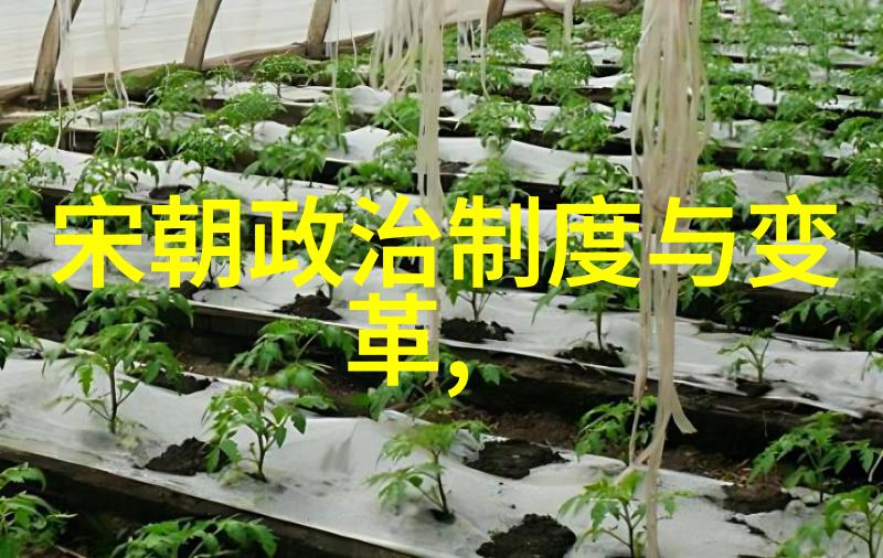 明朝两个阶段的辉煌与衰落历史之谜终将揭晓吗