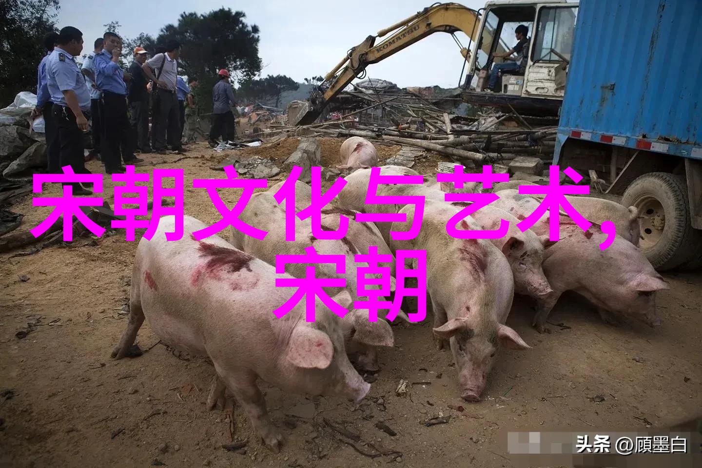 第五届黄梅戏艺术节吴琼领衔开闭幕式首次露天演出
