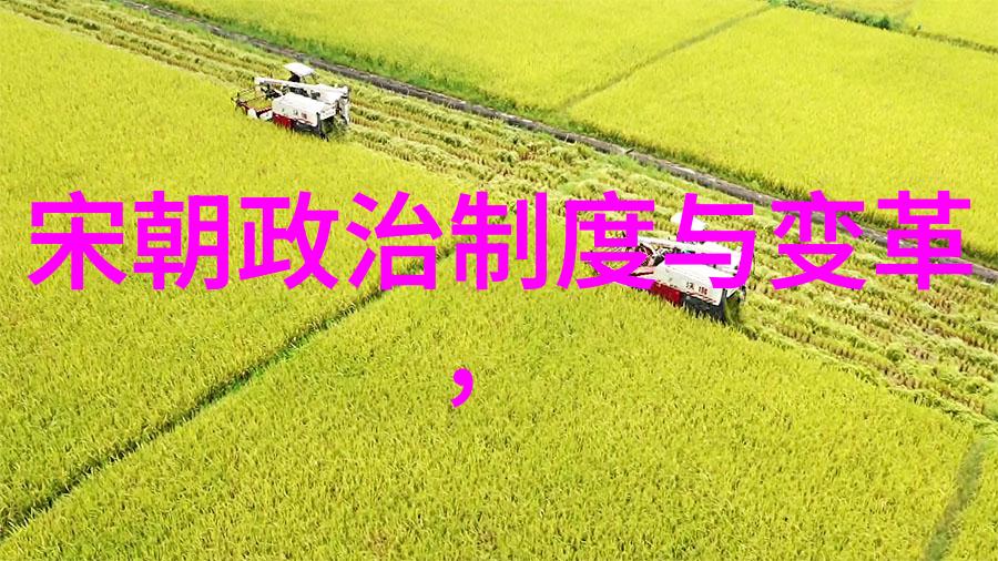 黄梅戏女驸马选段乔慧杰导演的艺术传承者