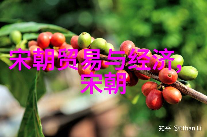 明朝盛世大明帝国的繁荣时期