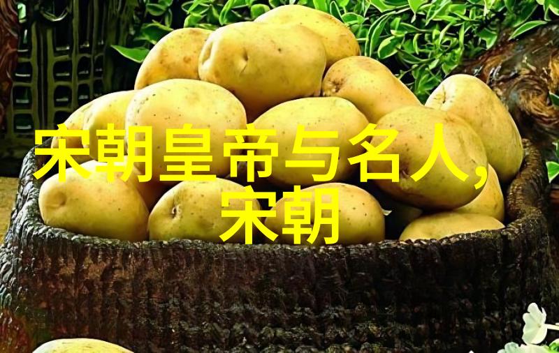 明朝衰退的起点探究嘉靖至崇祯时期的转折点