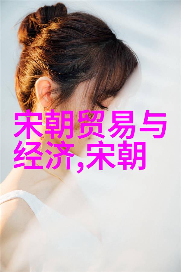 宋朝历史成就-文治武功宋朝的辉煌与光芒