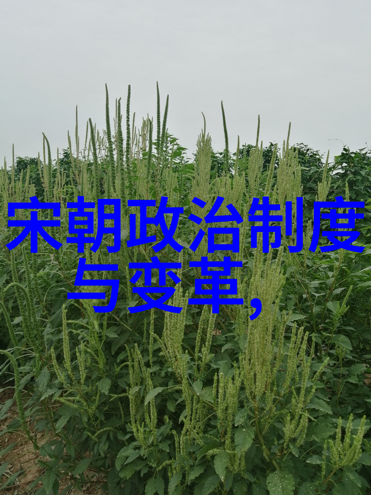 明代十六主政时期的军事征伐策略探究