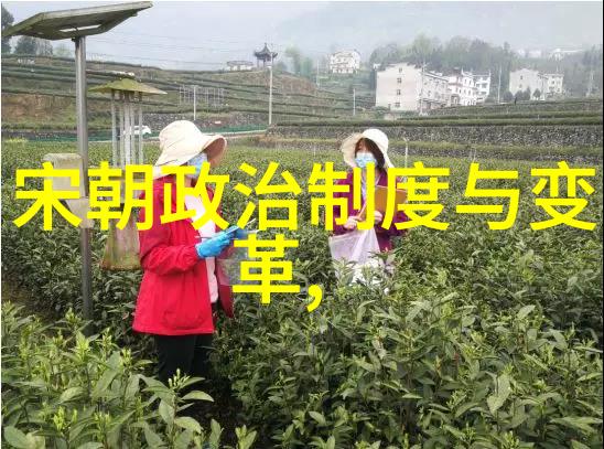 辽金为什么不列入正史我是怎么想的辽金历史被遗忘的原因