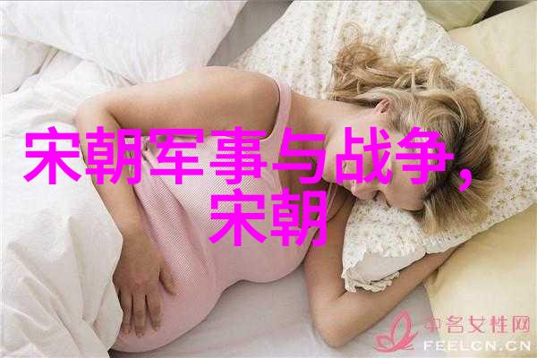 宋朝奇谭录笑傲江湖的书生