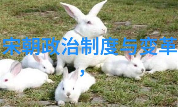 醉梦三峡仰韶酒文化的秘密传承