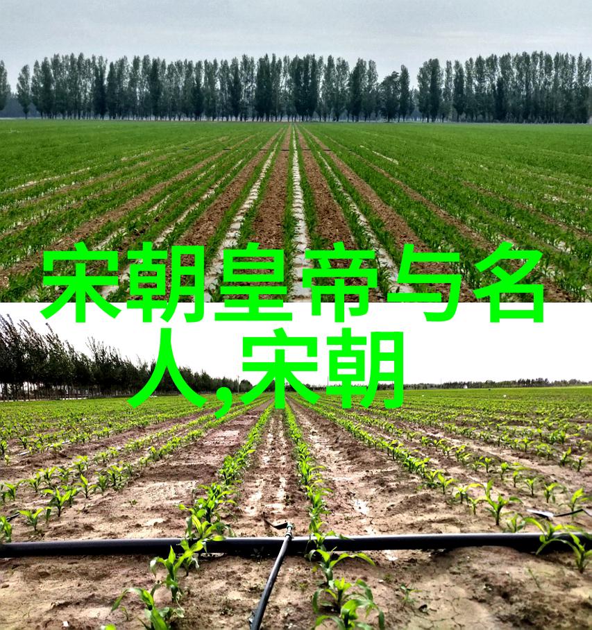 禅让与世袭相结合解读北周对强势大将军的依赖