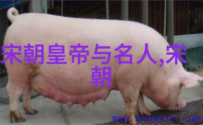 江山破碎余晖南明遗民之争