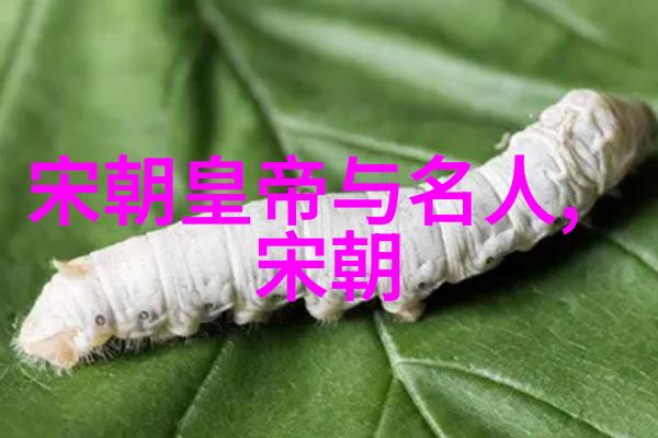 皇权政治中的三位一体明太祖明英宗与明憙宗