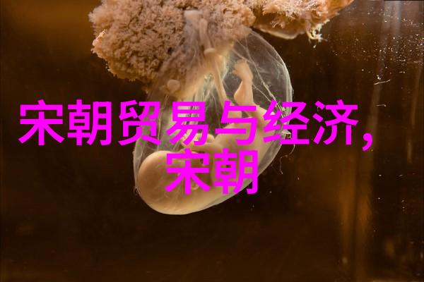 宋朝时期的周边国家与贸易往来