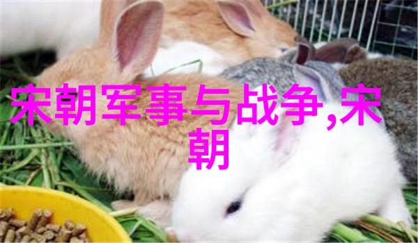文化小故事传承民族精神的桥梁